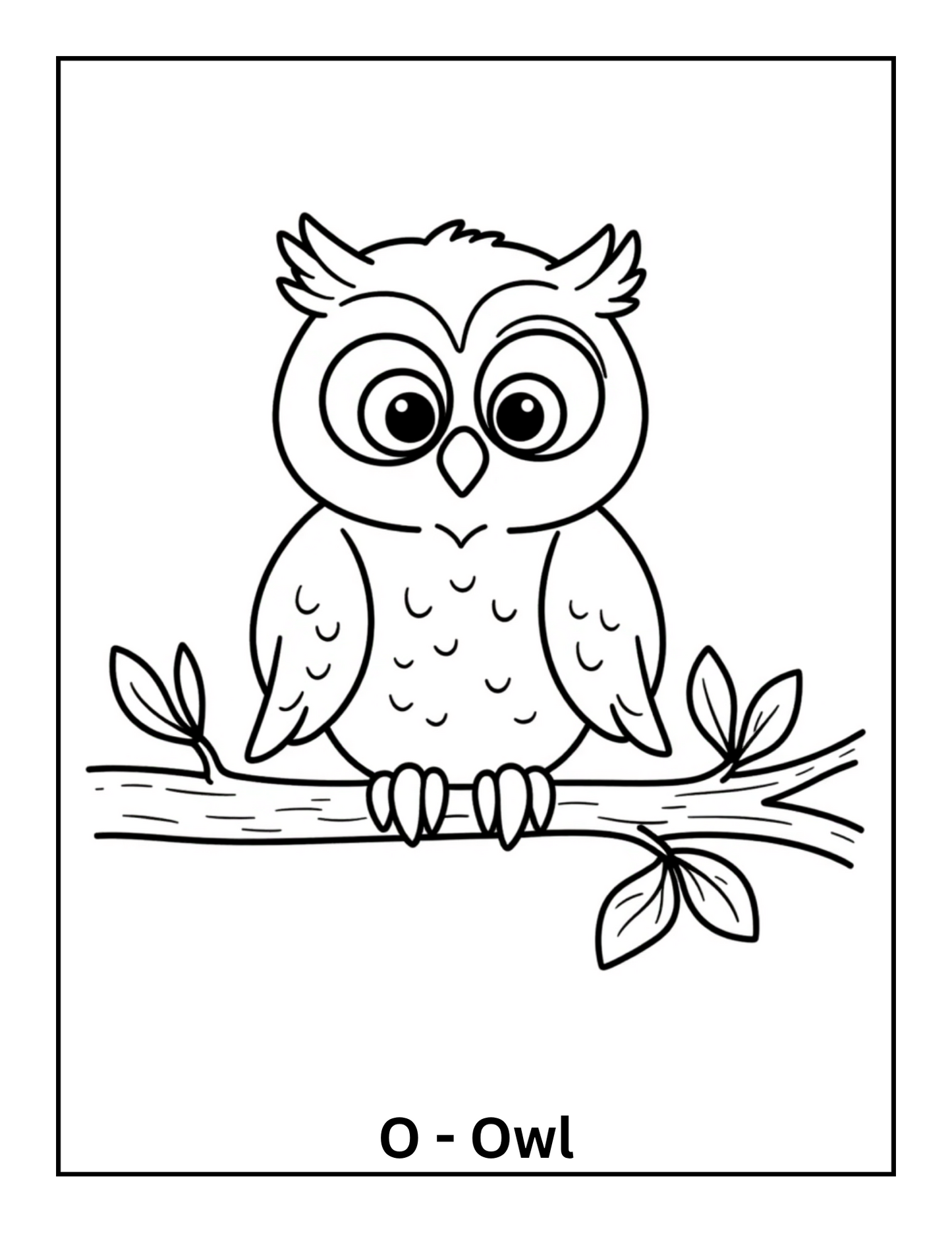My Animal ABC